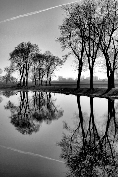 Kliknij na zdjęcie, żeby zobaczyć w pełnych wymiarach