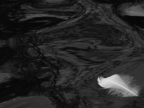 Kliknij na zdjęcie, żeby zobaczyć w pełnych wymiarach