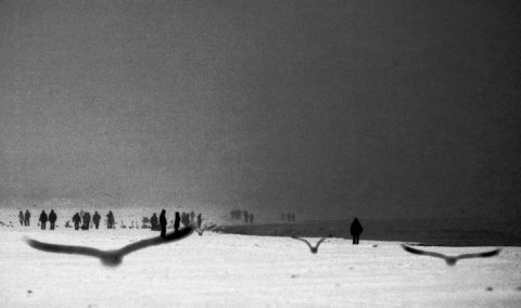 Kliknij na zdjęcie, żeby zobaczyć w pełnych wymiarach