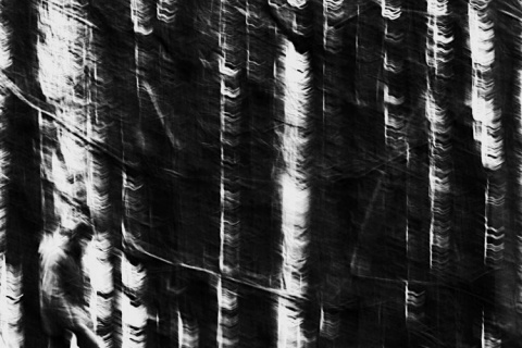 Kliknij na zdjęcie, żeby zobaczyć w pełnych wymiarach