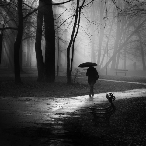 Kliknij na zdjęcie, żeby zobaczyć w pełnych wymiarach