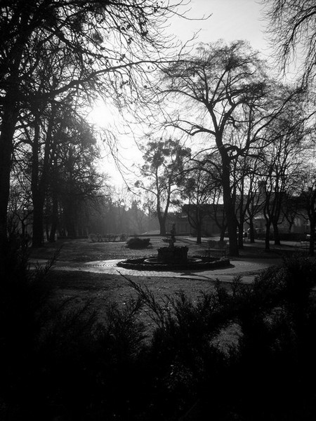 Kliknij na zdjęcie, żeby zobaczyć w pełnych wymiarach