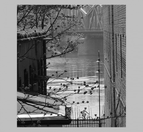 Kliknij na zdjęcie, żeby zobaczyć w pełnych wymiarach