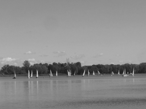 Kliknij na zdjęcie, żeby zobaczyć w pełnych wymiarach