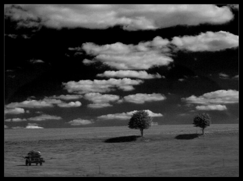 Kliknij na zdjęcie, żeby zobaczyć w pełnych wymiarach