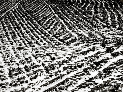 Kliknij na zdjęcie, żeby zobaczyć w pełnych wymiarach