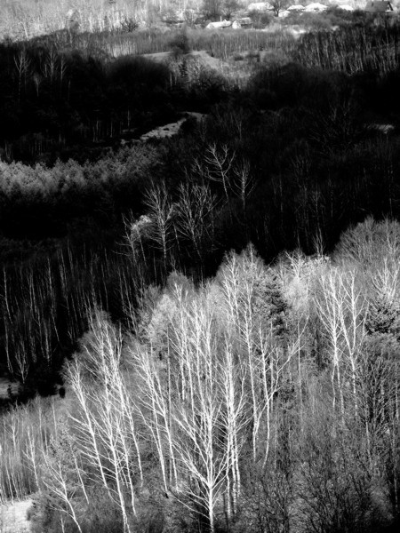 Kliknij na zdjęcie, żeby zobaczyć w pełnych wymiarach