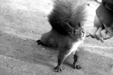 Kliknij na zdjęcie, żeby zobaczyć w pełnych wymiarach