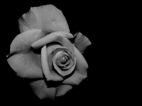 Kliknij na zdjęcie, żeby zobaczyć w pełnych wymiarach