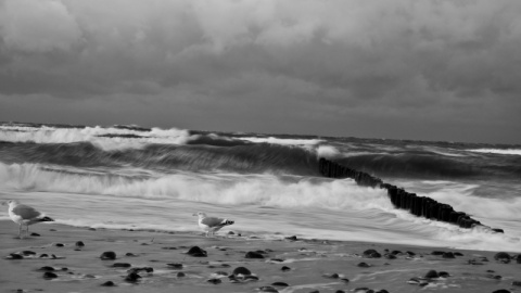 Kliknij na zdjęcie, żeby zobaczyć w pełnych wymiarach