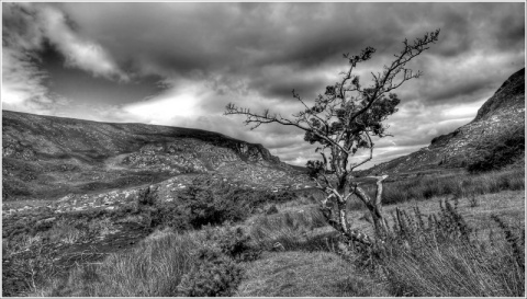 Kliknij na zdjęcie, żeby zobaczyć w pełnych wymiarach