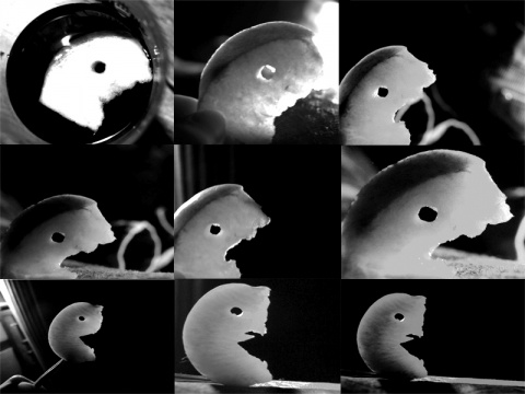 Kliknij na zdjęcie, żeby zobaczyć w pełnych wymiarach