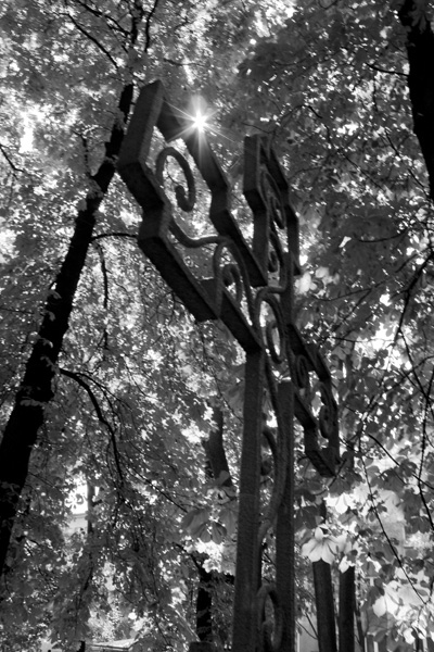 Kliknij na zdjęcie, żeby zobaczyć w pełnych wymiarach