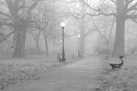 Kliknij na zdjęcie, żeby zobaczyć w pełnych wymiarach