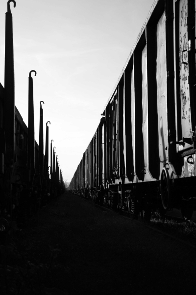 Kliknij na zdjęcie, żeby zobaczyć w pełnych wymiarach