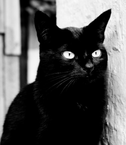 Kliknij na zdjęcie, żeby zobaczyć w pełnych wymiarach