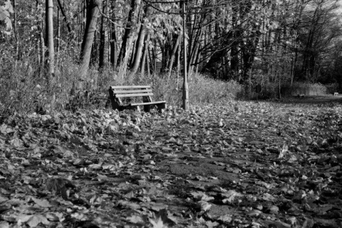 Kliknij na zdjęcie, żeby zobaczyć w pełnych wymiarach