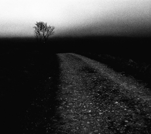 Kliknij na zdjęcie, żeby zobaczyć w pełnych wymiarach