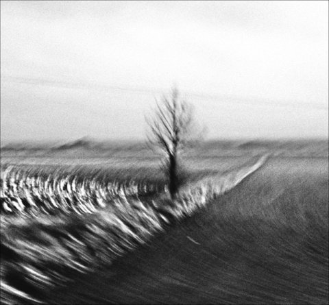 Kliknij na zdjęcie, żeby zobaczyć w pełnych wymiarach