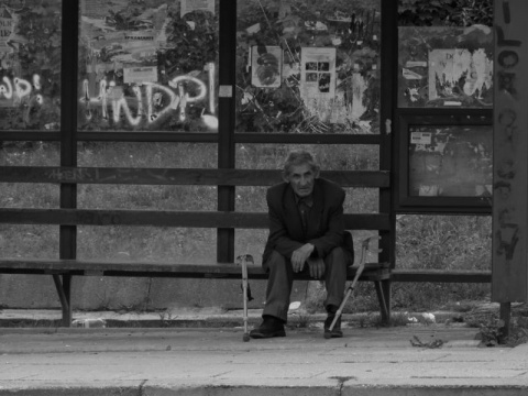 Kliknij na zdjęcie, żeby zobaczyć w pełnych wymiarach