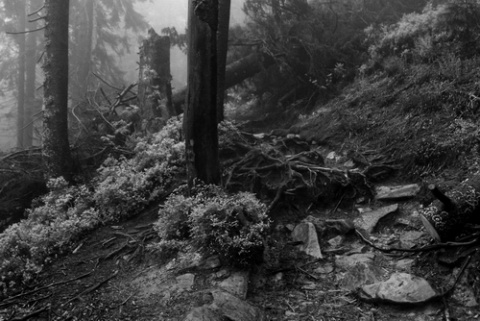 Kliknij na zdjęcie, żeby zobaczyć w pełnych wymiarach