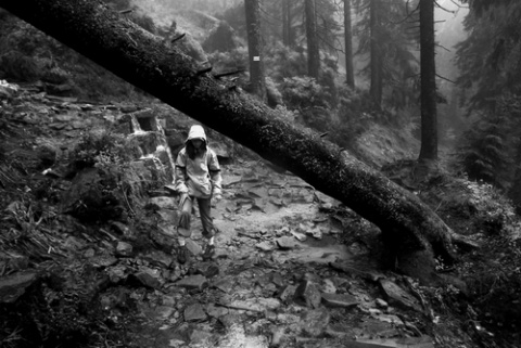 Kliknij na zdjęcie, żeby zobaczyć w pełnych wymiarach