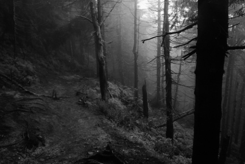 Kliknij na zdjęcie, żeby zobaczyć w pełnych wymiarach