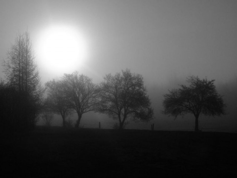 Kliknij na zdjęcie, żeby zobaczyć w pełnych wymiarach
