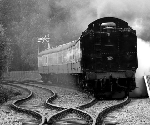 Kliknij na zdjęcie, żeby zobaczyć w pełnych wymiarach