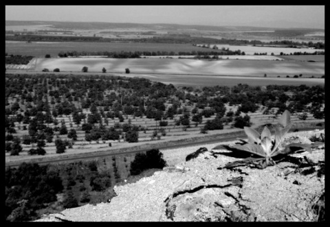 Kliknij na zdjęcie, żeby zobaczyć w pełnych wymiarach