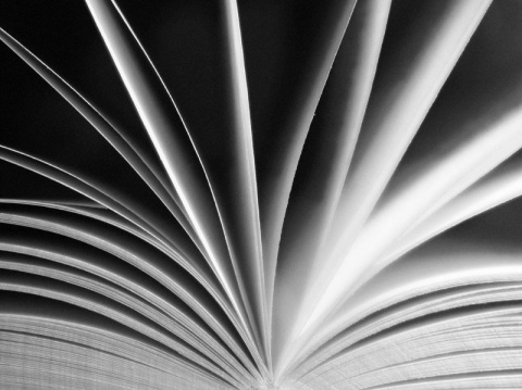 Kliknij na zdjęcie, żeby zobaczyć w pełnych wymiarach