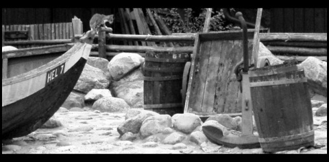 Kliknij na zdjęcie, żeby zobaczyć w pełnych wymiarach