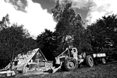 Kliknij na zdjęcie, żeby zobaczyć w pełnych wymiarach