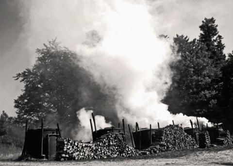 Kliknij na zdjęcie, żeby zobaczyć w pełnych wymiarach