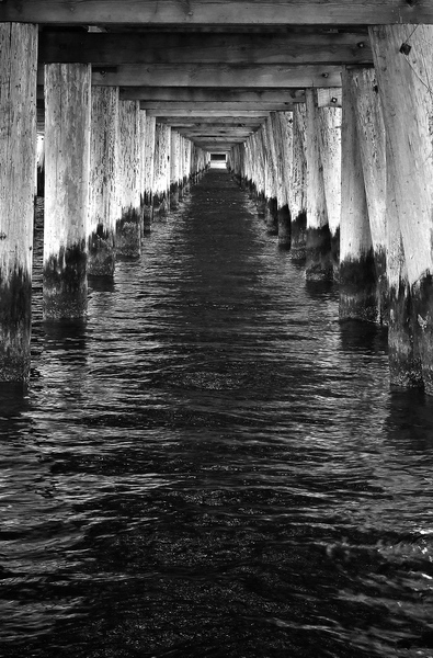 Kliknij na zdjęcie, żeby zobaczyć w pełnych wymiarach