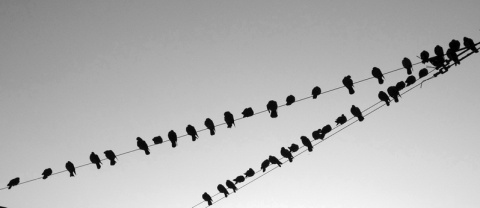 Kliknij na zdjęcie, żeby zobaczyć w pełnych wymiarach