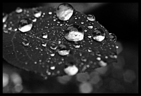 Kliknij na zdjęcie, żeby zobaczyć w pełnych wymiarach