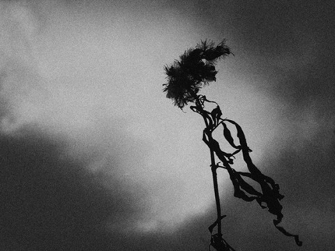 Kliknij na zdjęcie, żeby zobaczyć w pełnych wymiarach