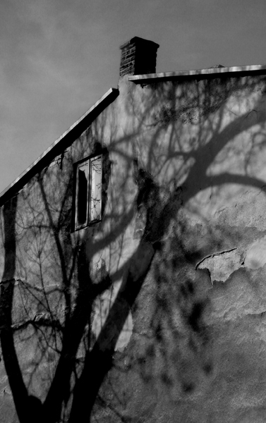 Kliknij na zdjęcie, żeby zobaczyć w pełnych wymiarach