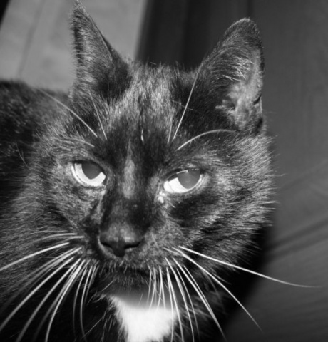 Kliknij na zdjęcie, żeby zobaczyć w pełnych wymiarach