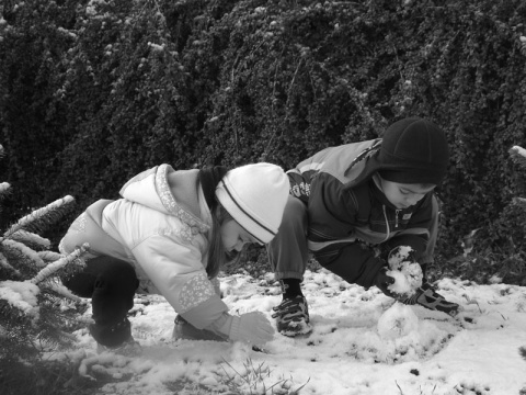 Kliknij na zdjęcie, żeby zobaczyć w pełnych wymiarach