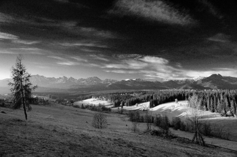 Kliknij na zdjęcie, żeby zobaczyć w pełnych wymiarach