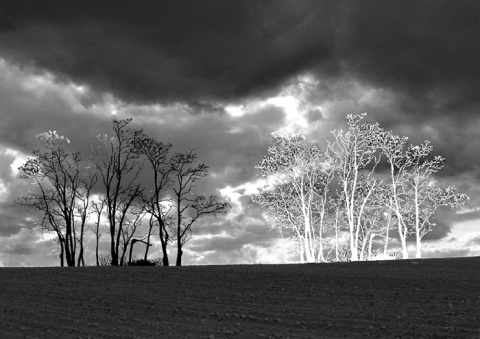 Kliknij na zdjęcie, żeby zobaczyć w pełnych wymiarach
