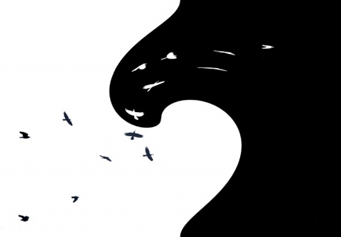 Kliknij na zdjęcie, żeby zobaczyć w pełnych wymiarach