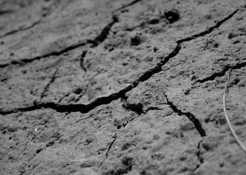 Kliknij na zdjęcie, żeby zobaczyć w pełnych wymiarach