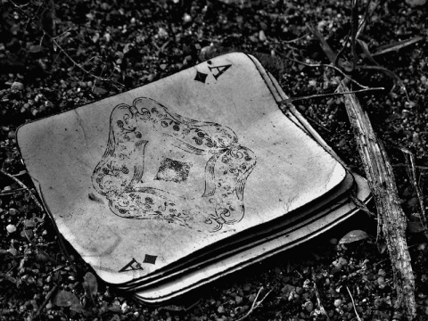 Kliknij na zdjęcie, żeby zobaczyć w pełnych wymiarach