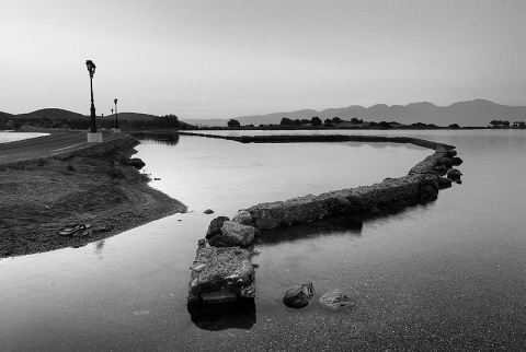 Kliknij na zdjęcie, żeby zobaczyć w pełnych wymiarach