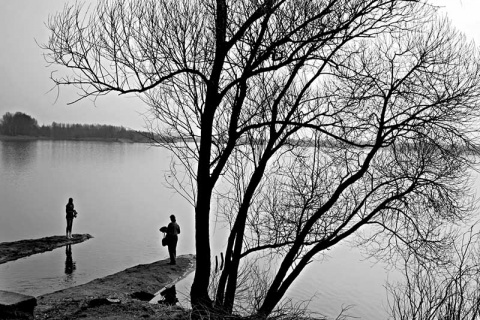 Kliknij na zdjęcie, żeby zobaczyć w pełnych wymiarach