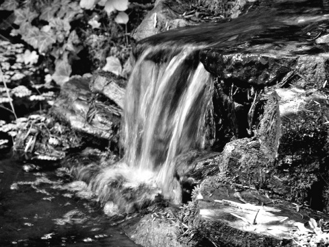 Kliknij na zdjęcie, żeby zobaczyć w pełnych wymiarach