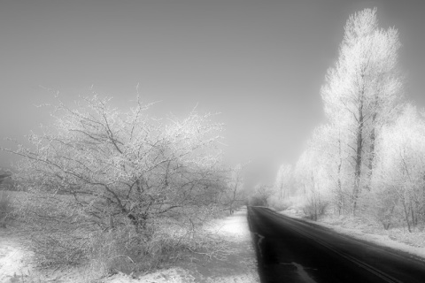 Kliknij na zdjęcie, żeby zobaczyć w pełnych wymiarach